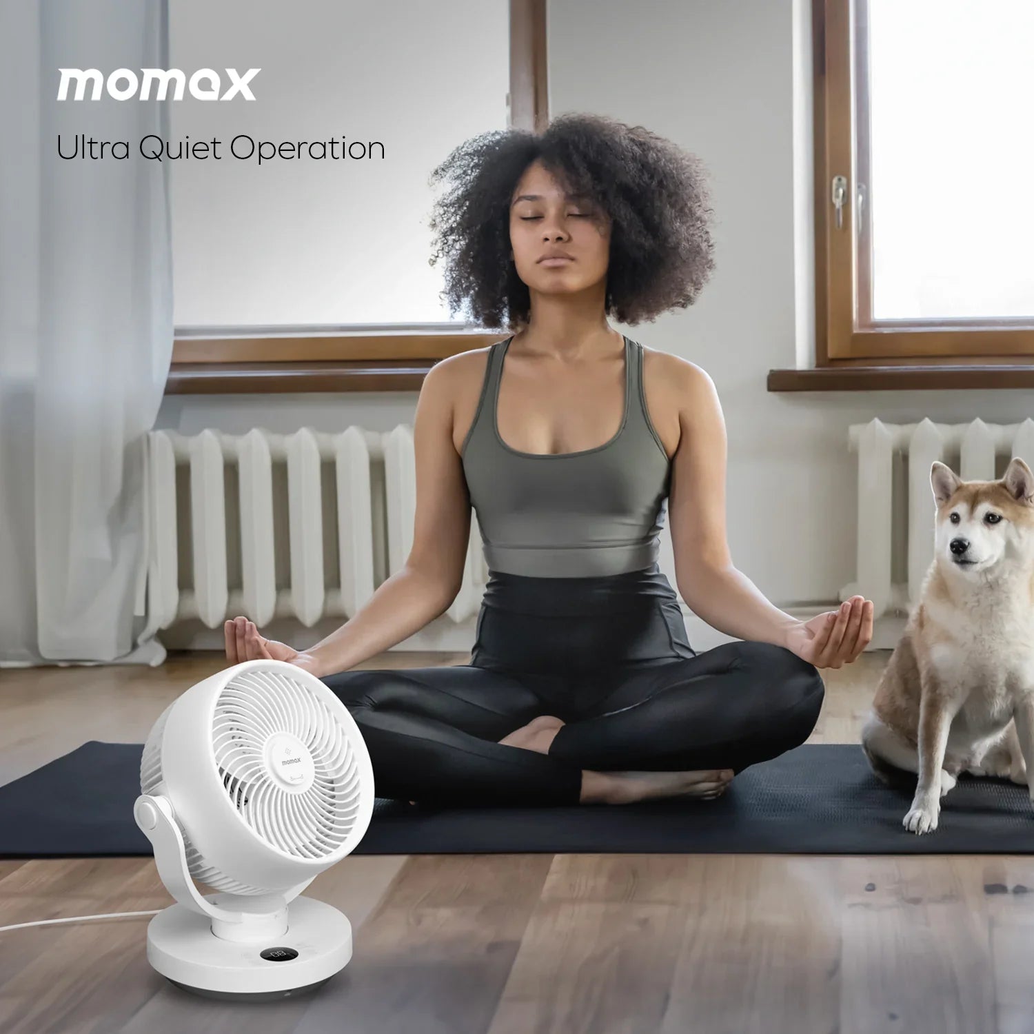 Airoma 3D air circulation fan